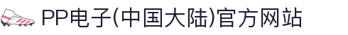 PP电子(中国大陆)官方网站