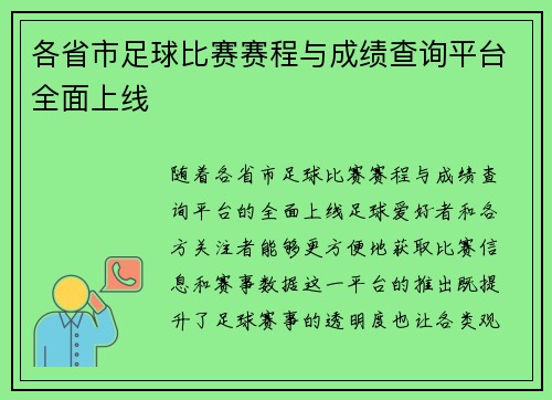 各省市足球比赛赛程与成绩查询平台全面上线