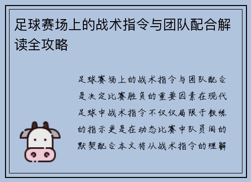 足球赛场上的战术指令与团队配合解读全攻略