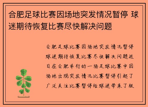 合肥足球比赛因场地突发情况暂停 球迷期待恢复比赛尽快解决问题