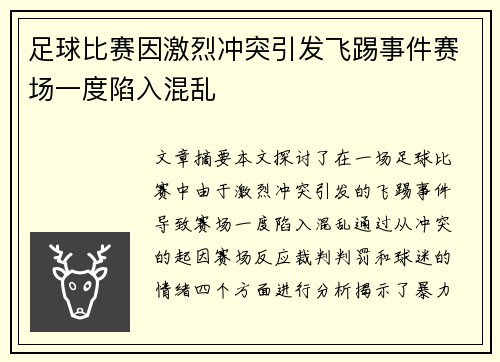 足球比赛因激烈冲突引发飞踢事件赛场一度陷入混乱